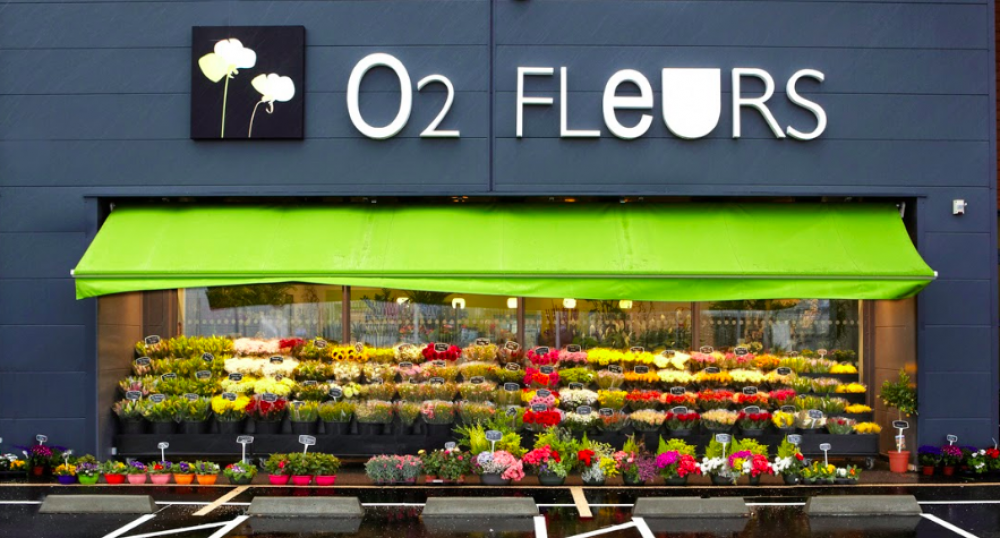 Fleuriste, magasin de fleurs sur Séné et Vannes